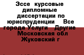 Эссе, курсовые, дипломные, диссертации по юриспруденции! - Все города Услуги » Другие   . Московская обл.,Жуковский г.